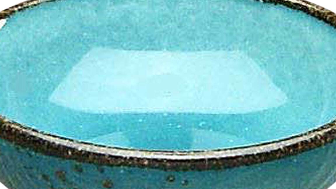 Schale - 6600290208999908