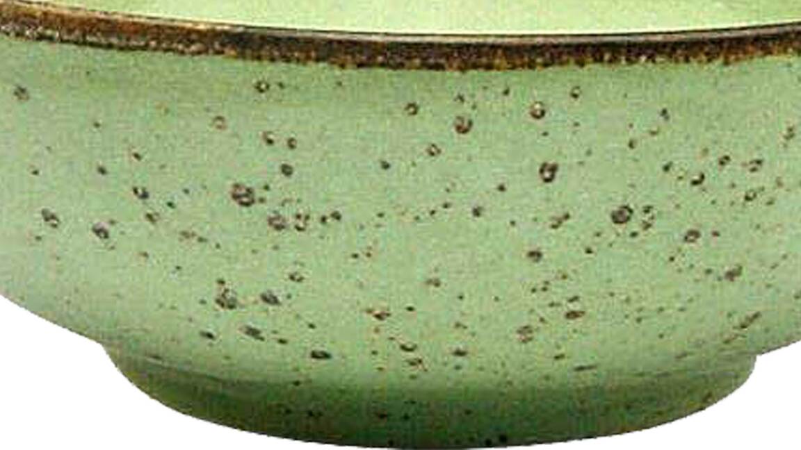 Schale - 6600290208000104